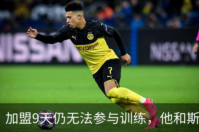 加盟9天仍无法参与训练，他和斯特林面临相同困境